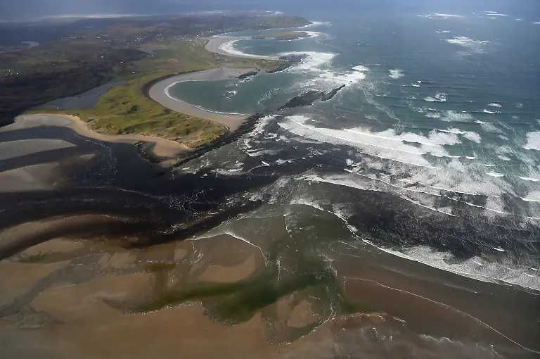 2021-11-17T133905Z-1574123386-RC2Z8M9JFRTZ-RTRMADP-3-IRELAND-ENVIRONMENT-SEAWEED