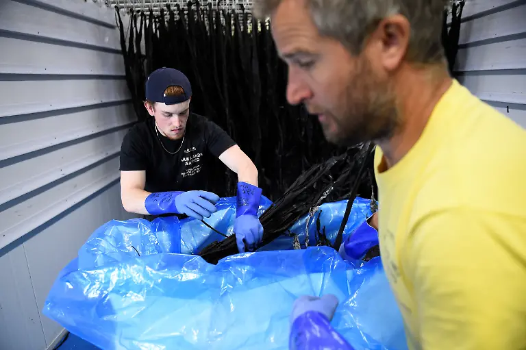 David-O-Halloran-und-Mitarbeiter