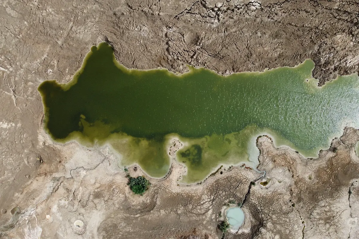 2021-11-01T112330Z-1217463800-RC2NLQ952P8M-RTRMADP-3-CLIMATE-UN-PALESTINIANS