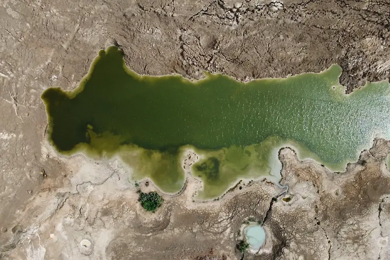 2021-11-01T112330Z-1217463800-RC2NLQ952P8M-RTRMADP-3-CLIMATE-UN-PALESTINIANS