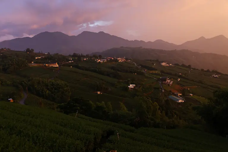 2021-10-13T230204Z-927575156-RC2YKP9G6VS8-RTRMADP-3-CLIMATE-CHANGE-TAIWAN-TEA