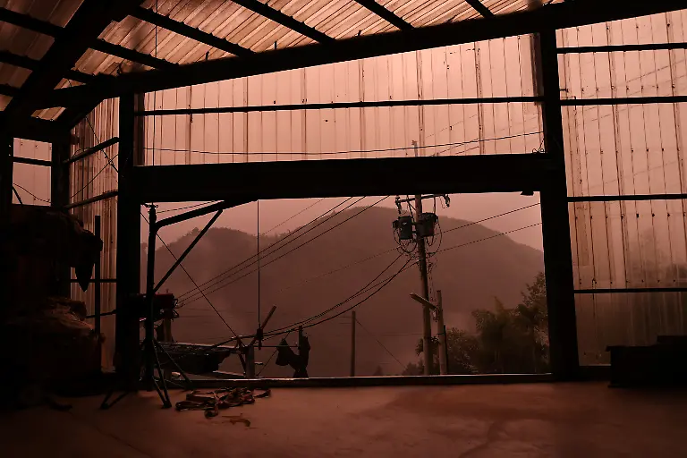 Sturm-u-ber-Teeplantage