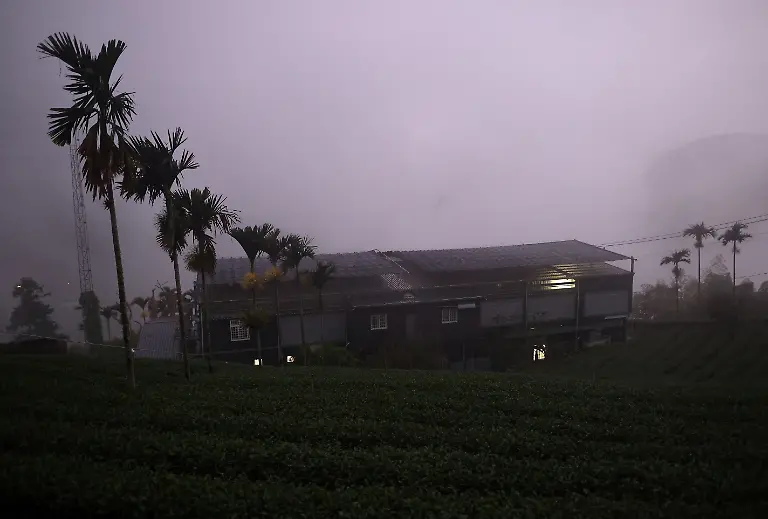 2021-10-13T230138Z-1645652546-RC2MJP9EMPXY-RTRMADP-3-CLIMATE-CHANGE-TAIWAN-TEA