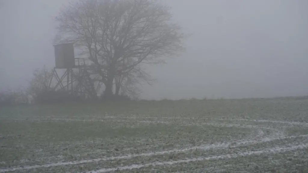 Ein-Baum-steht-im-Nebel-auf-einem-Feld