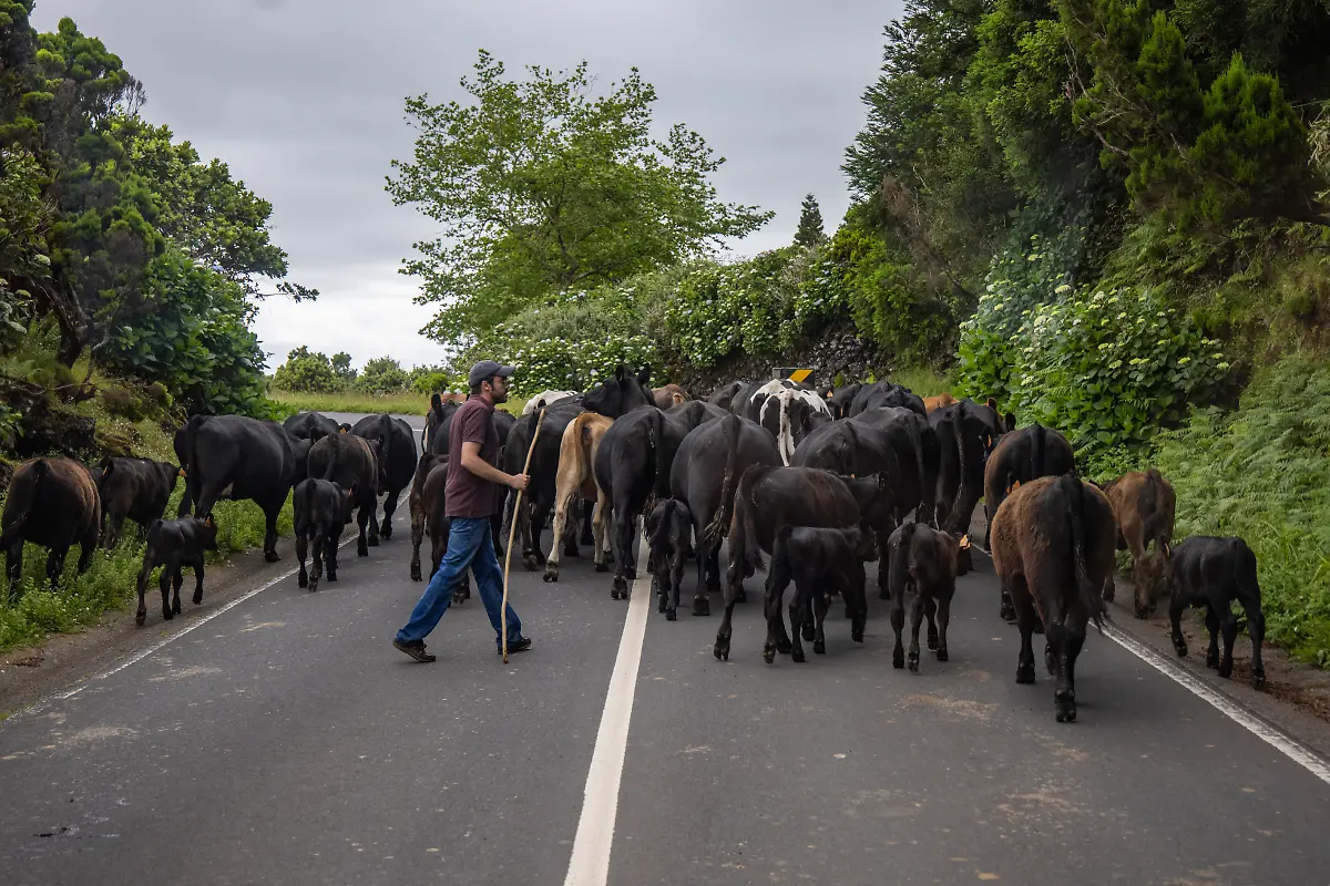 NICHT-VERWENDEN-Bild-37-von-40-2021-06-21-009