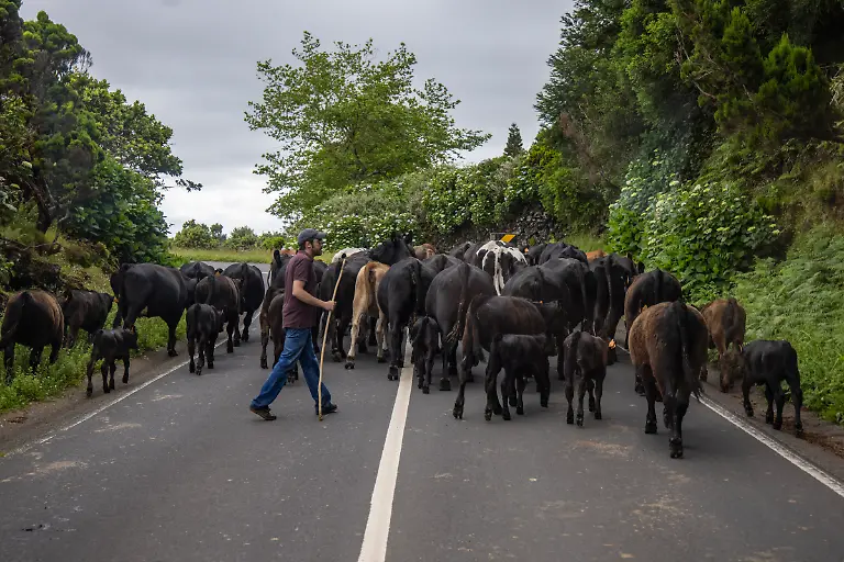 NICHT-VERWENDEN-Bild-37-von-40-2021-06-21-009