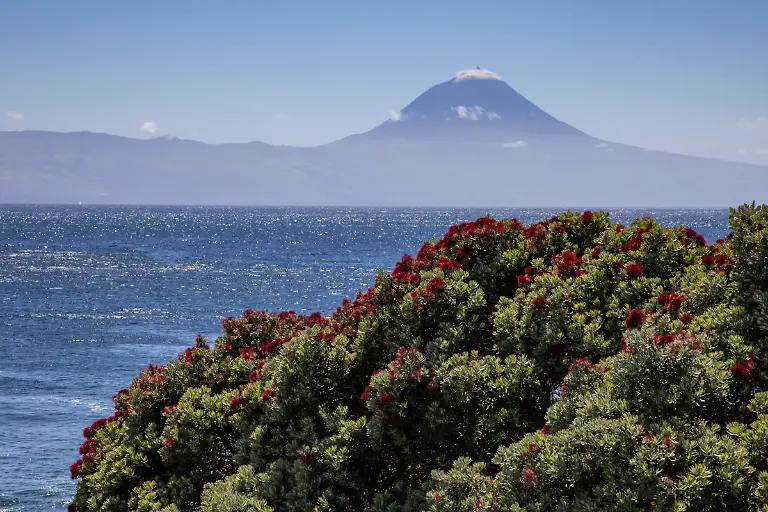 NICHT-VERWENDEN-Bild-34-von-40-2021-06-20-040