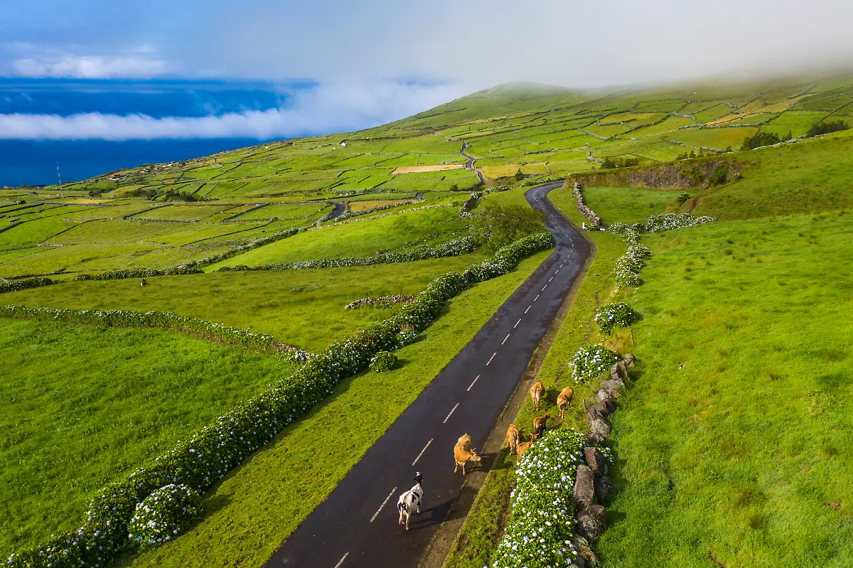 NICHT-VERWENDEN-Bild-26-von-40-Mavic2-2021-06-19-010