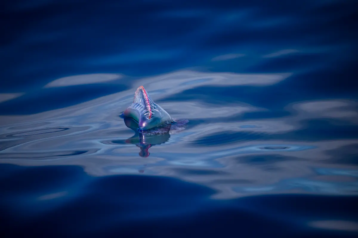 NICHT-VERWENDEN-Bild-23-von-40-2021-06-18-067