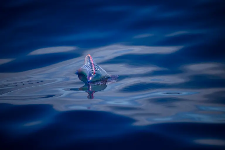 NICHT-VERWENDEN-Bild-23-von-40-2021-06-18-067