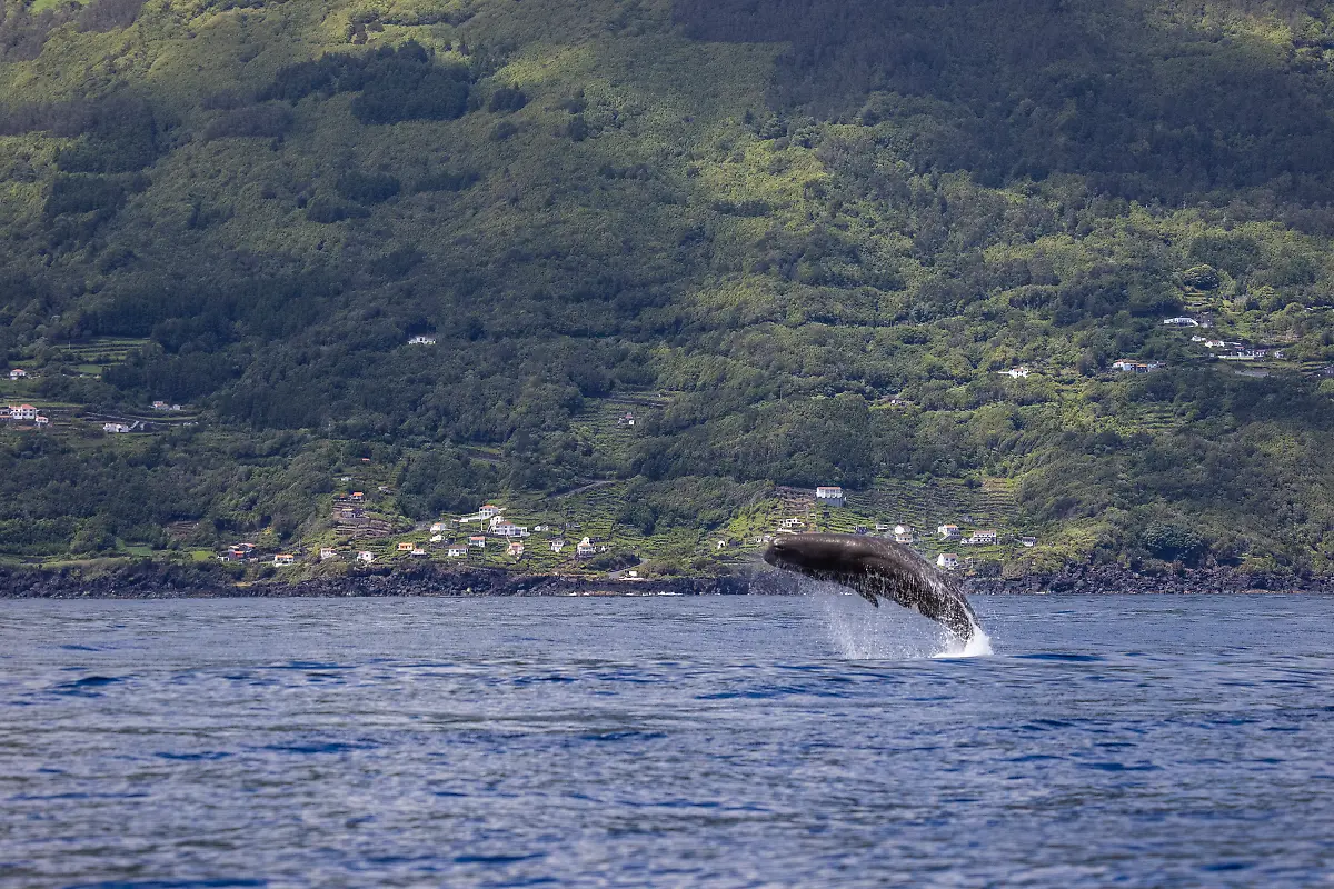 NICHT-VERWENDEN-Bild-21-von-40-2021-06-18-039