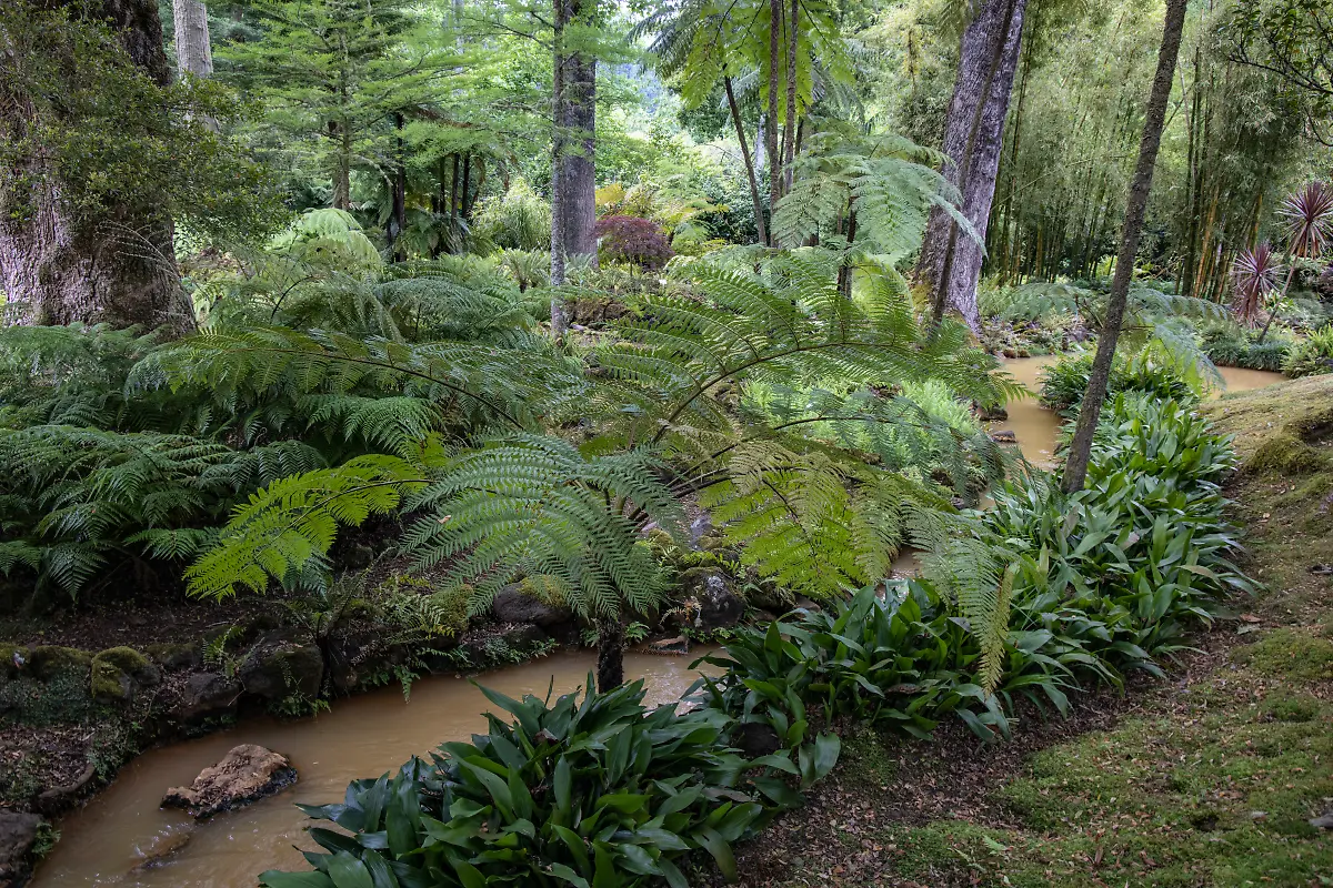 NICHT-VERWENDEN-Bild-08-von-40-2021-06-15-033