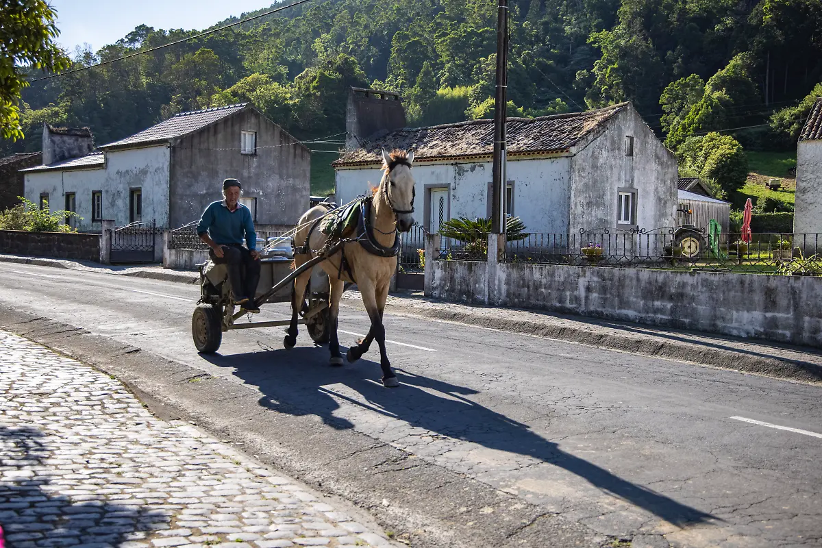 NICHT-VERWENDEN-Bild-06-von-40-2021-06-14-068