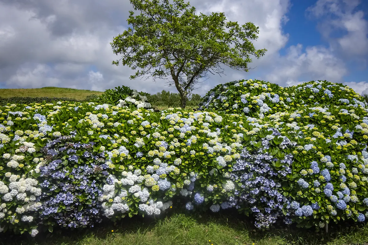 NICHT-VERWENDEN-Bild-03-von-40-2021-06-14-057
