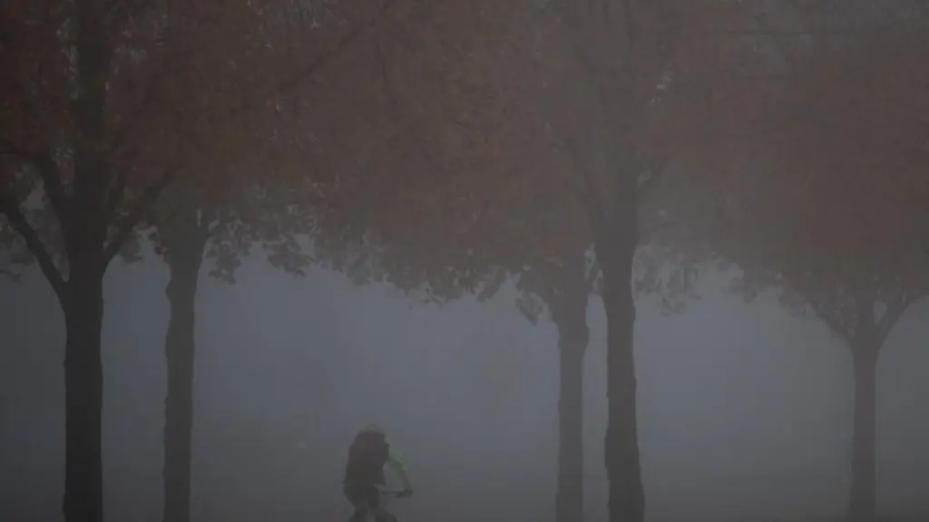 Ein-Fahrradfahrer-faehrt-im-Nebel-durch-eine-Allee