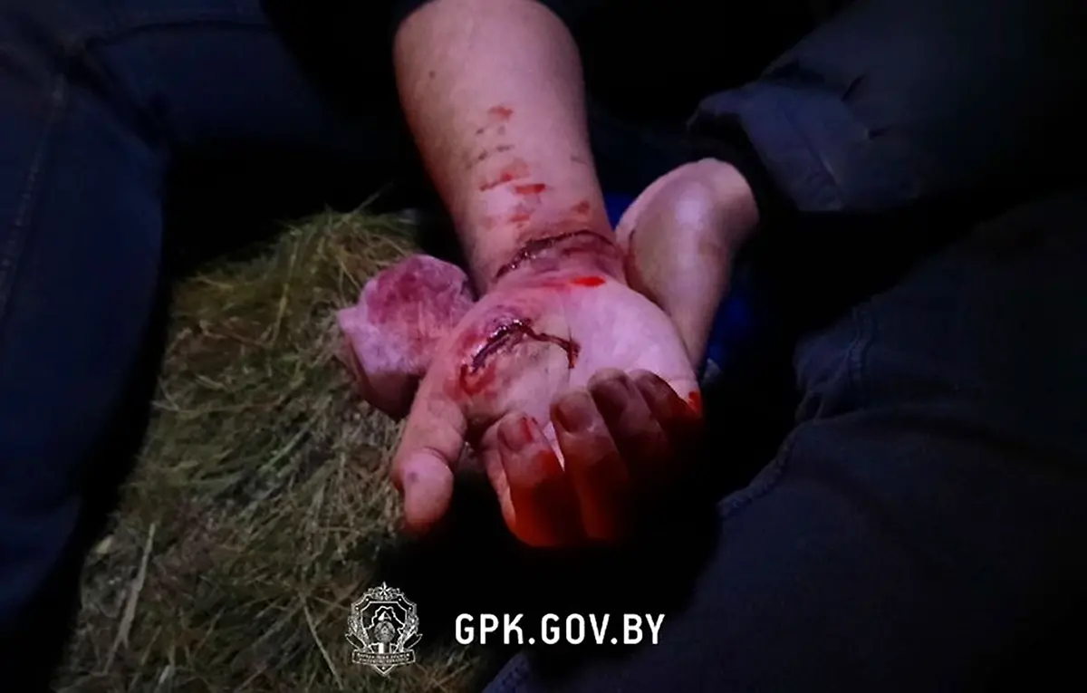 73d3d9d0f0ef75bd02267c7ad446a8e1