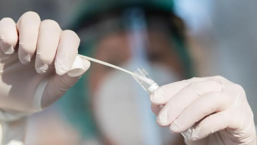 Ein-medizinischer-Mitarbeiter-haelt-einen-Tupfer-mit-einem-Abstrich-fuer-einen-Corona-Test-in-der-Hand