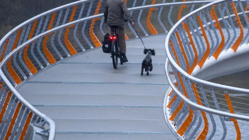 Ein-Mann-radelt-mit-seinem-Hund-ueber-die-neue-Fahrradbruecke-zwischen-Dwang-und-Kroesnitz