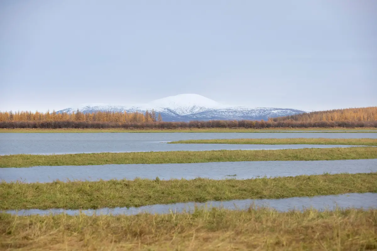 Pleistoza-n-Naturpark