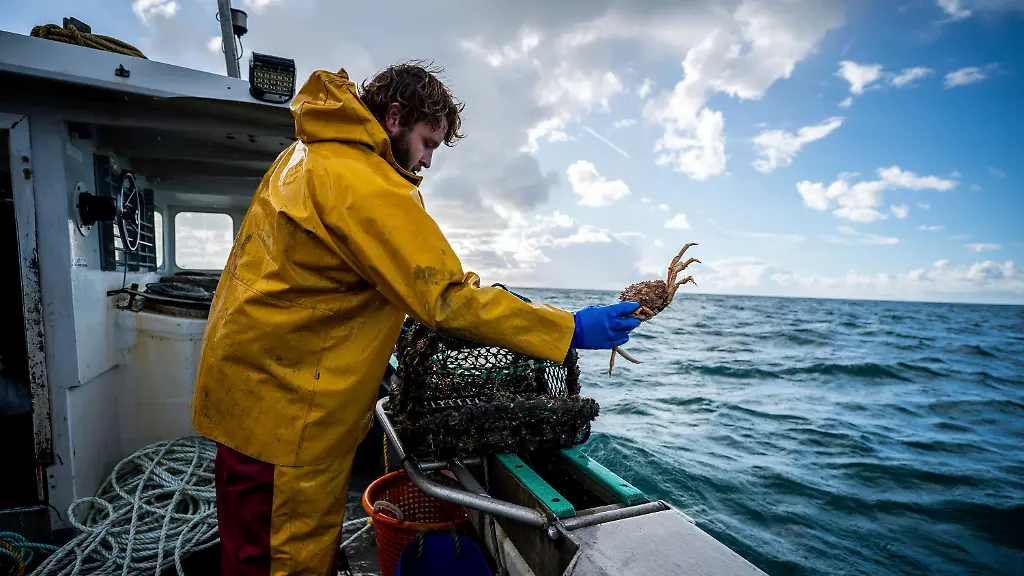 0722d344132300c8229c74662ed33814