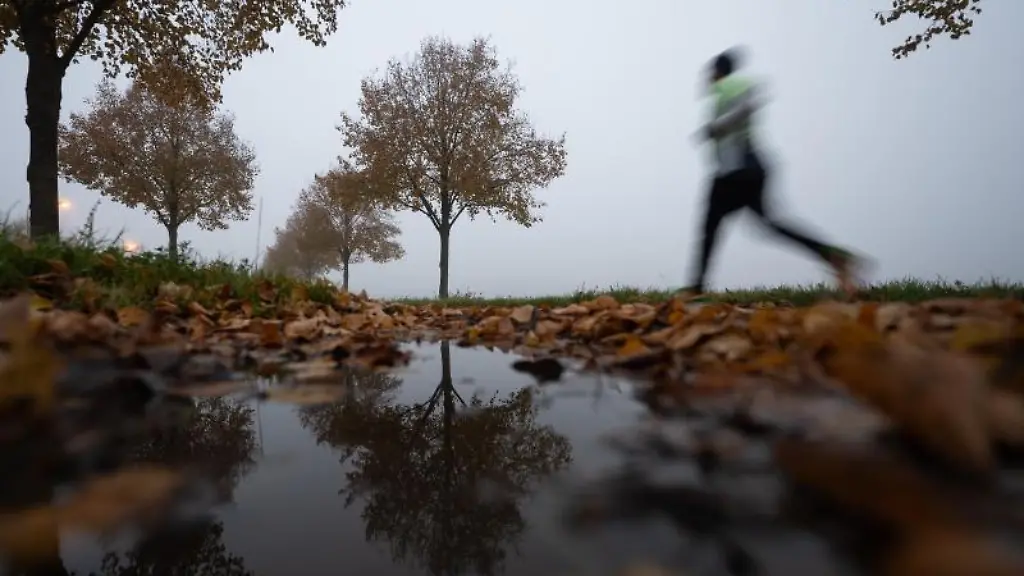 Eine-Joggerin-laeuft-am-Morgen-durch-den-Nebel