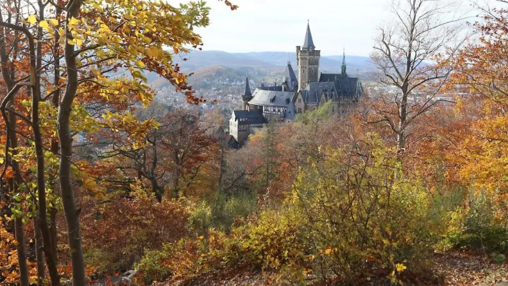 Herbstlich-bunt-gefaerbte-Waelder-umgeben-das-Wernigeroeder-Schloss