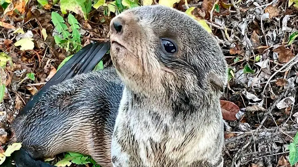 023bd0703fec1547435c0c1d67b8099d