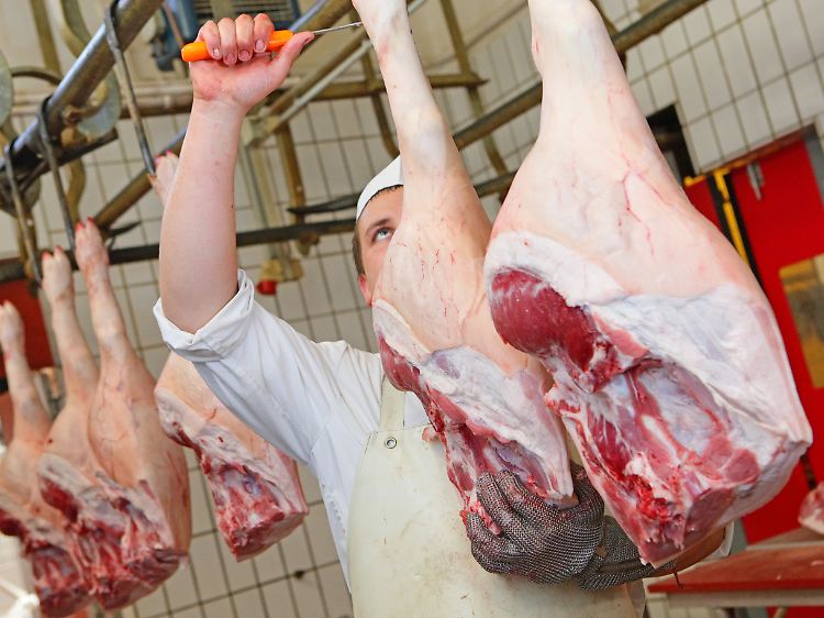 Die EU-Kommission fordert, dass das Fleisch von Klon-Nachkommen ab der zweiten Generation normal gehandelt werden darf.