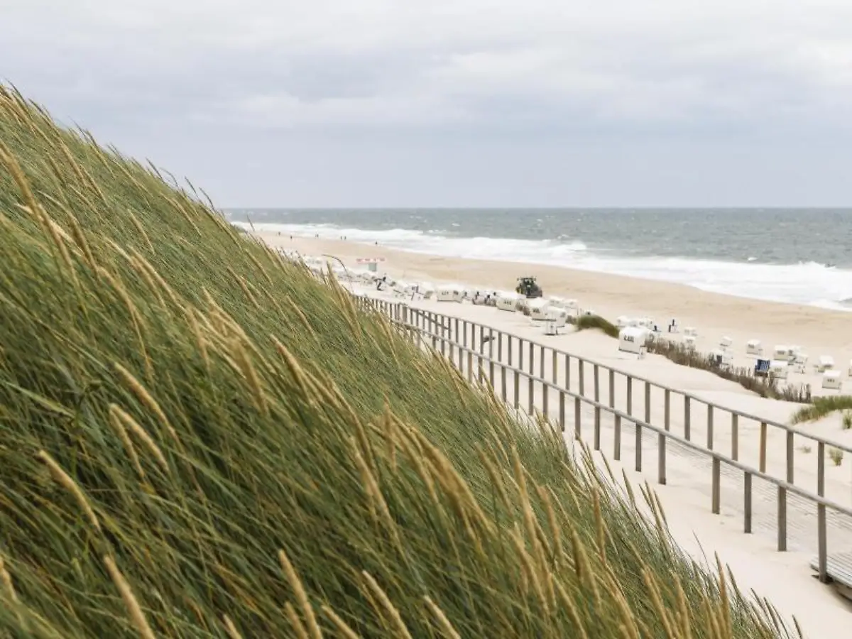 Der-Wind-weht-bei-bewoelktem-Himmel-ueber-Duenengras-am-Strand-von-Westerland