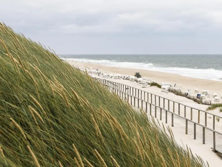 Der-Wind-weht-bei-bewoelktem-Himmel-ueber-Duenengras-am-Strand-von-Westerland