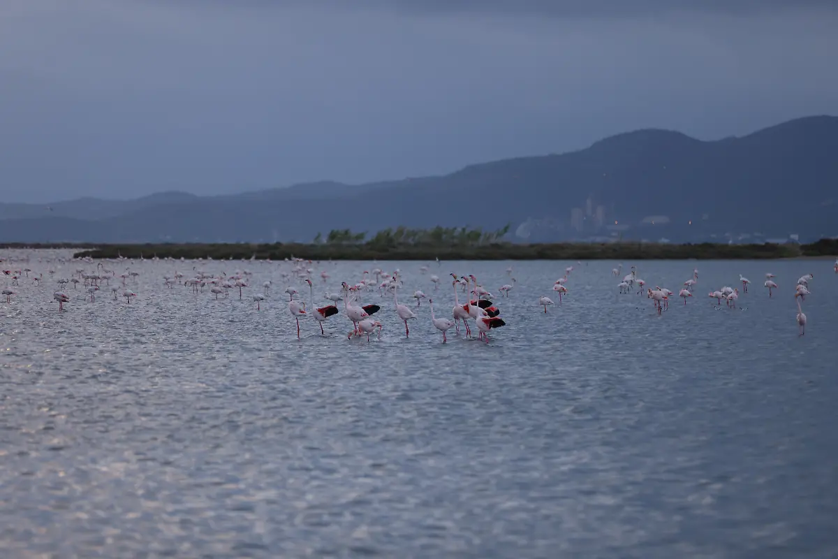 2021-10-26T125922Z-775756579-RC2R9Q95J75K-RTRMADP-3-CLIMATE-UN-SPAIN-DELTA