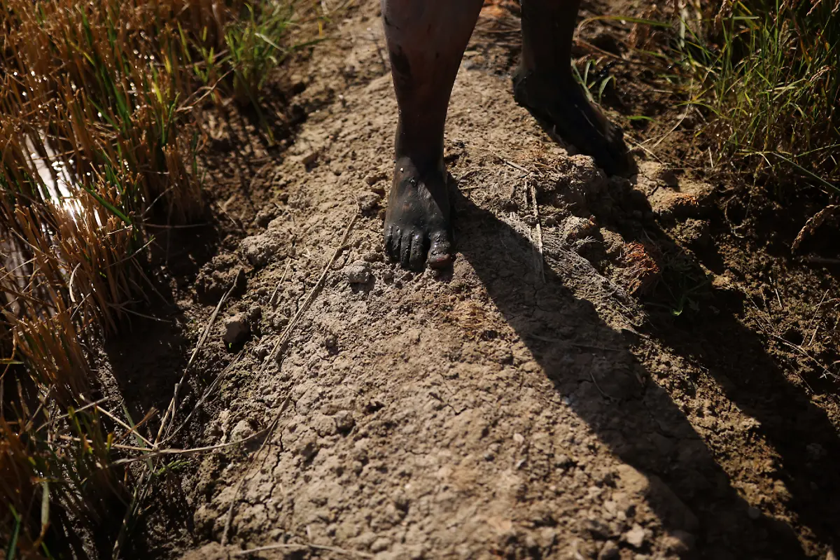 2021-10-26T125918Z-1606273379-RC2K3Q9PHGOU-RTRMADP-3-CLIMATE-UN-SPAIN-DELTA