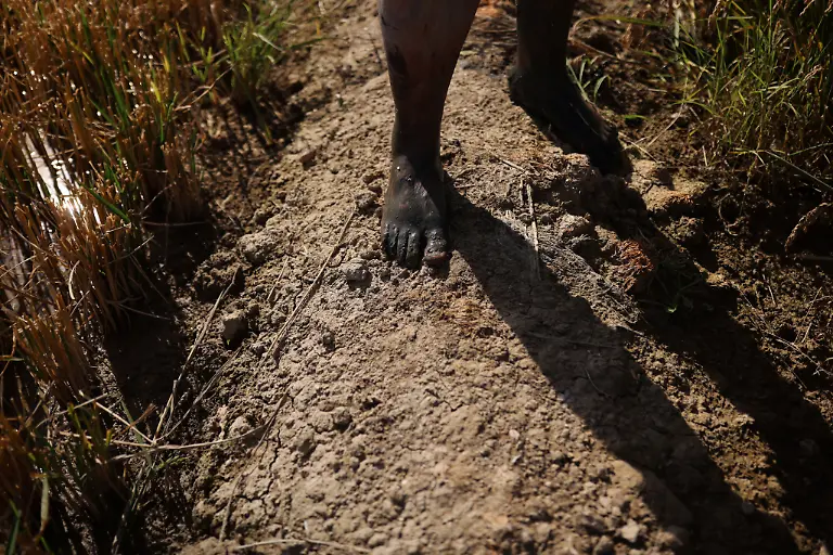 2021-10-26T125918Z-1606273379-RC2K3Q9PHGOU-RTRMADP-3-CLIMATE-UN-SPAIN-DELTA