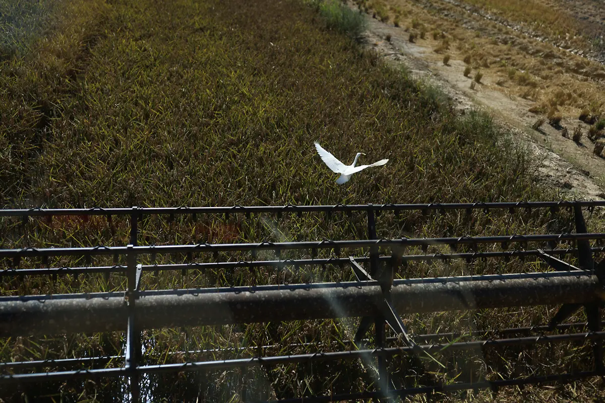 2021-10-26T125828Z-1575024408-RC2M3Q9PBJHS-RTRMADP-3-CLIMATE-UN-SPAIN-DELTA