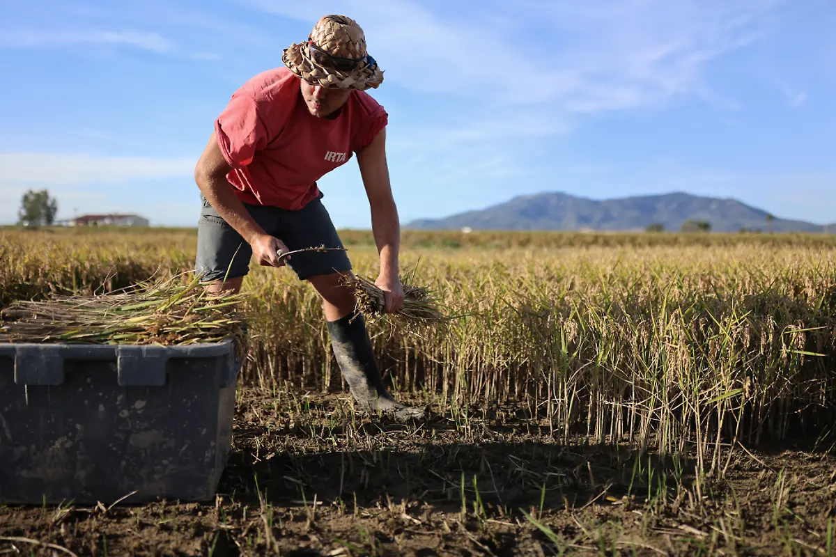 2021-10-26T125930Z-1724437588-RC264Q9PYLR3-RTRMADP-3-CLIMATE-UN-SPAIN-DELTA