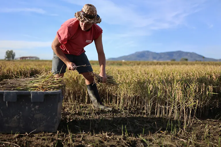2021-10-26T125930Z-1724437588-RC264Q9PYLR3-RTRMADP-3-CLIMATE-UN-SPAIN-DELTA