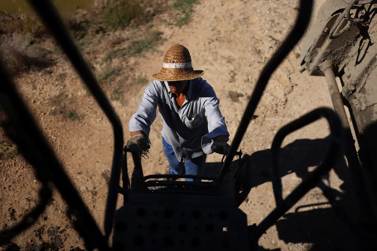 2021-10-26T125826Z-9936337-RC2M3Q9NXLYM-RTRMADP-3-CLIMATE-UN-SPAIN-DELTA