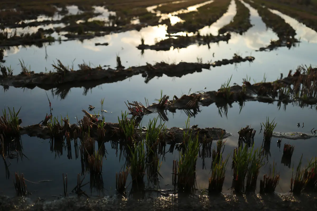 2021-10-26T125825Z-684344480-RC2H9Q9TFUCD-RTRMADP-3-CLIMATE-UN-SPAIN-DELTA