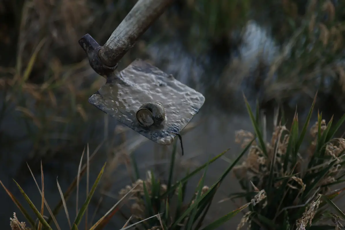 2021-10-26T125837Z-1788969462-RC2H3Q9CMHB7-RTRMADP-3-CLIMATE-UN-SPAIN-DELTA