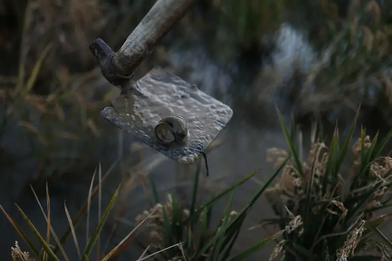 2021-10-26T125837Z-1788969462-RC2H3Q9CMHB7-RTRMADP-3-CLIMATE-UN-SPAIN-DELTA