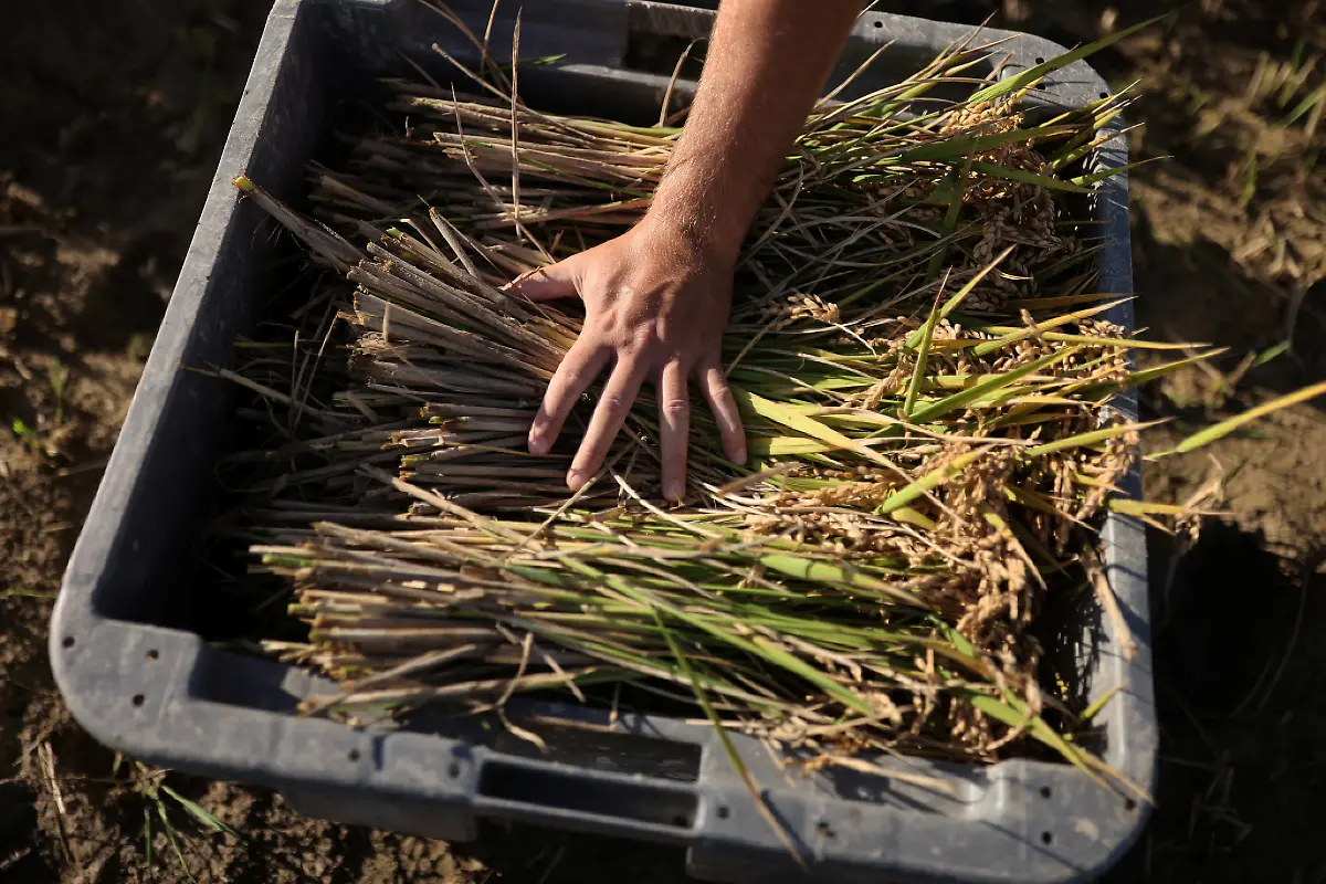 2021-10-26T125857Z-1454233697-RC264Q9A4KPQ-RTRMADP-3-CLIMATE-UN-SPAIN-DELTA