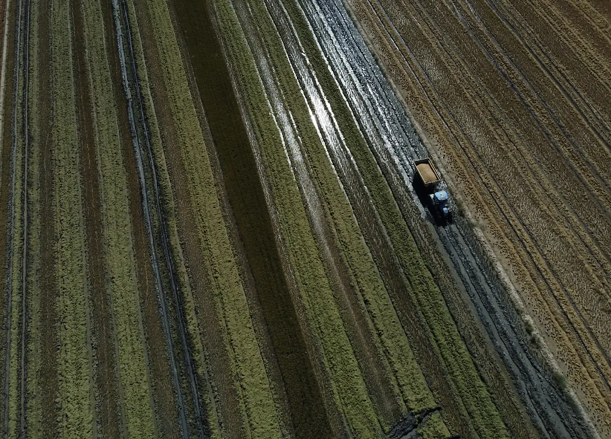 2021-10-26T125908Z-1012431143-RC2Q3Q9UKKPY-RTRMADP-3-CLIMATE-UN-SPAIN-DELTA