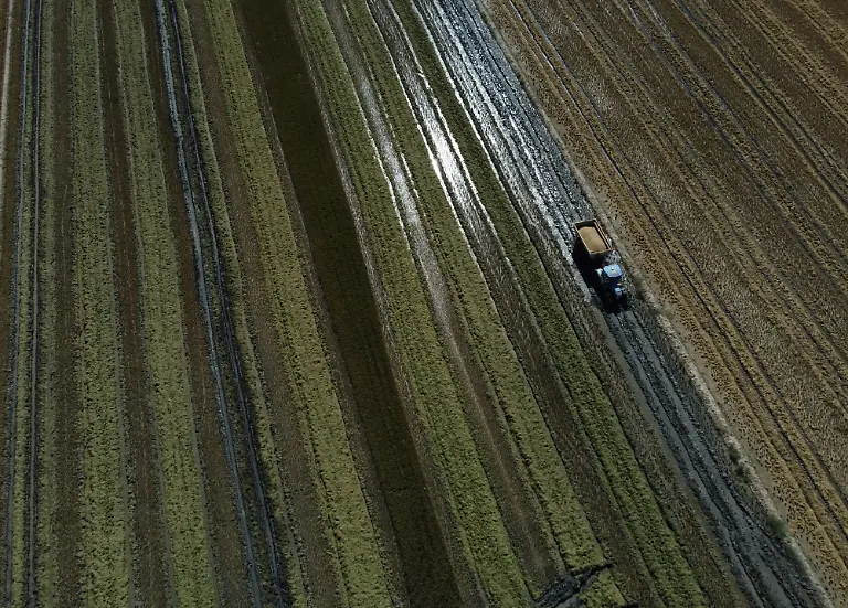 2021-10-26T125908Z-1012431143-RC2Q3Q9UKKPY-RTRMADP-3-CLIMATE-UN-SPAIN-DELTA