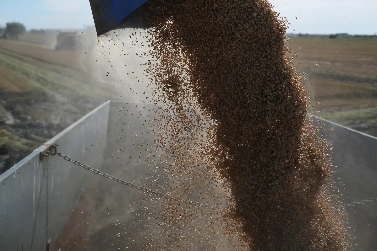 2021-10-26T125919Z-522304770-RC2E4Q9HSK34-RTRMADP-3-CLIMATE-UN-SPAIN-DELTA