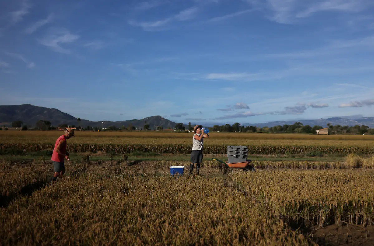 2021-10-26T125848Z-1912050076-RC274Q9LOVBO-RTRMADP-3-CLIMATE-UN-SPAIN-DELTA