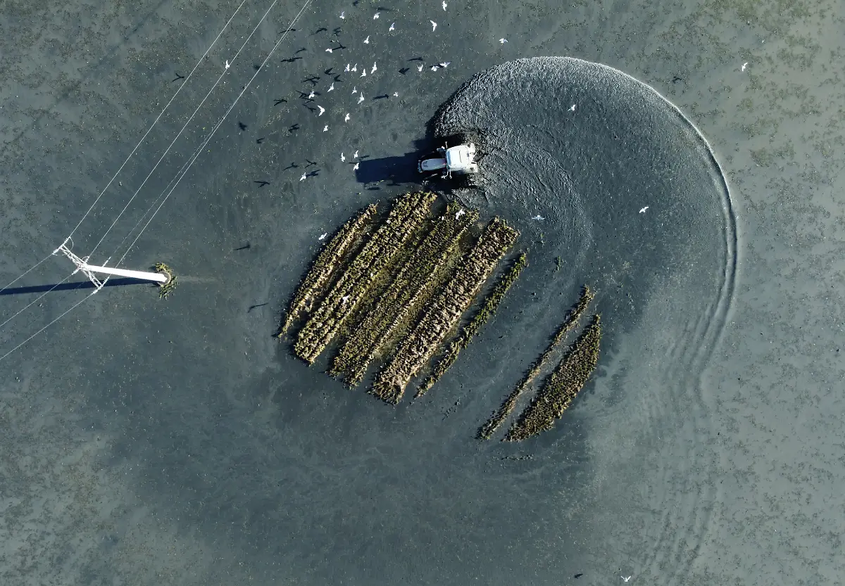 2021-10-26T125902Z-343231091-RC259Q93HGFK-RTRMADP-3-CLIMATE-UN-SPAIN-DELTA