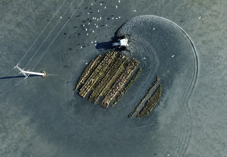 2021-10-26T125902Z-343231091-RC259Q93HGFK-RTRMADP-3-CLIMATE-UN-SPAIN-DELTA