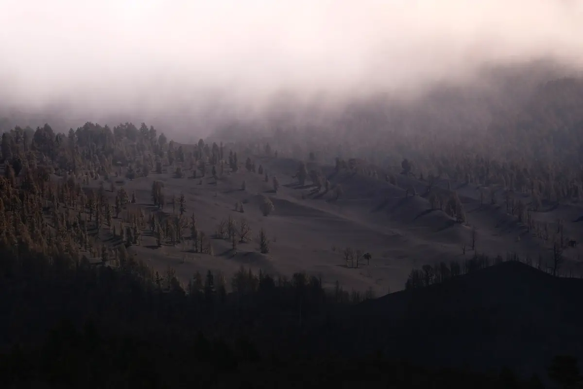 0c7039b2c2dbd5a59b86879071ebd007