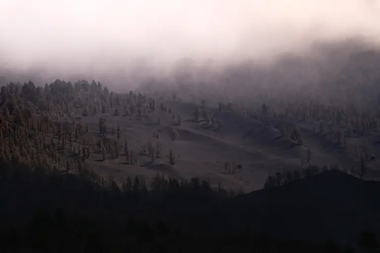 0c7039b2c2dbd5a59b86879071ebd007