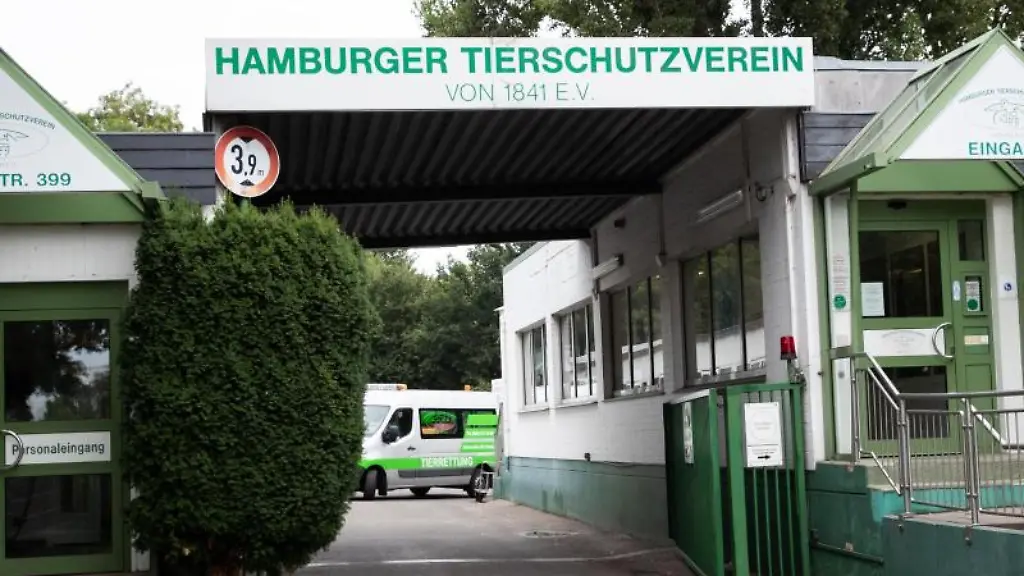 Das-Tierheim-an-der-Suederstrasse